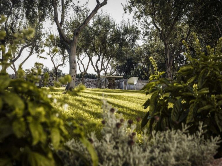 alchimia_W-G6