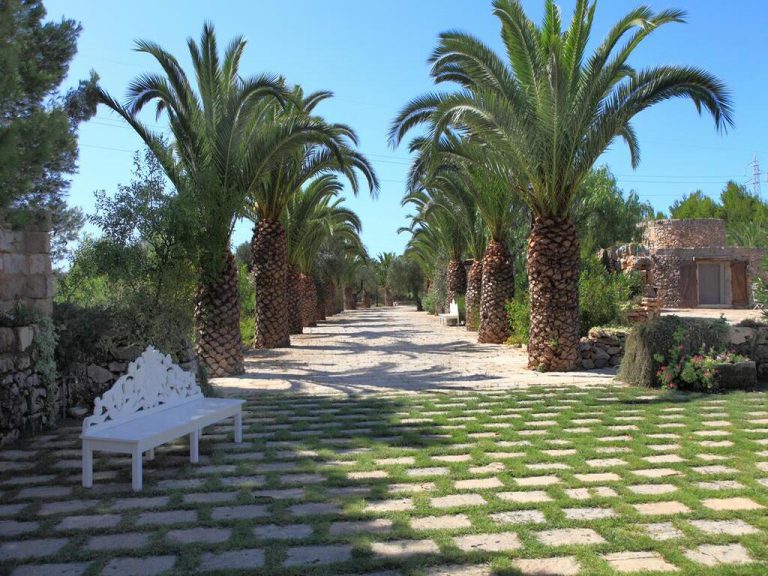 masseria-cucuruzza41