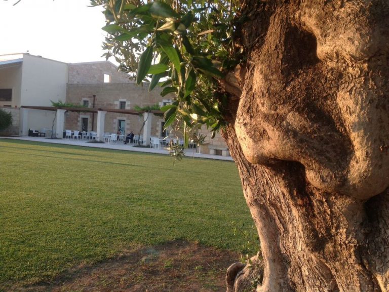 masseria-stali-09