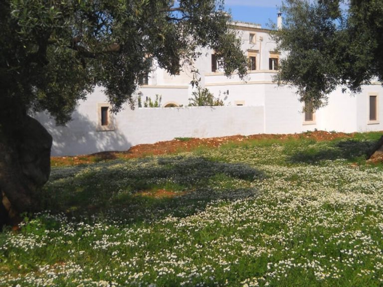 masseria_de_michele_12