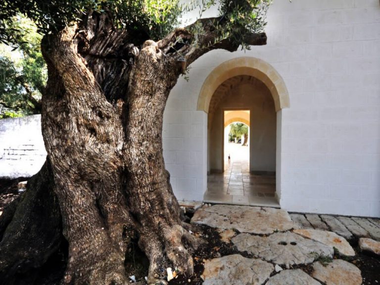 masseria_de_michele_4