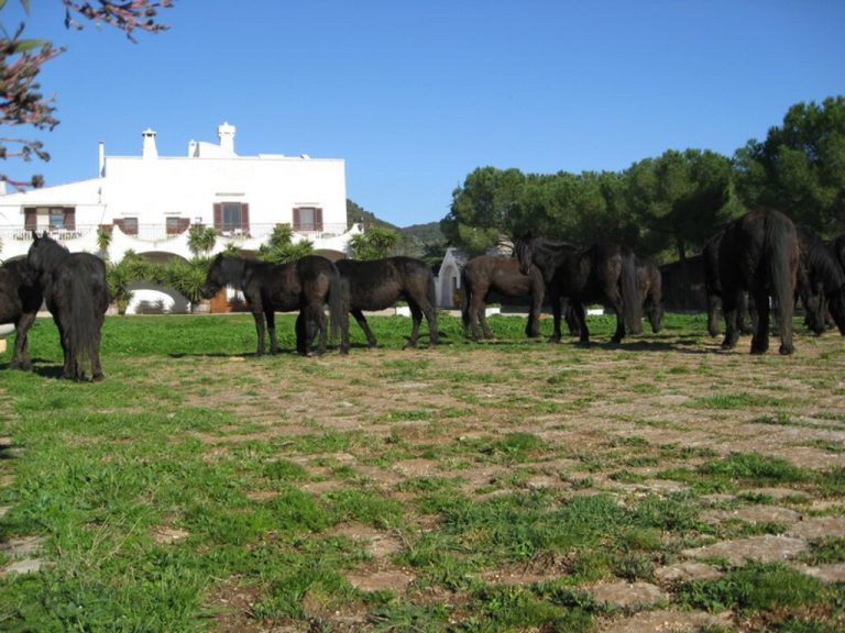 masseria-pilano-crispiano-02