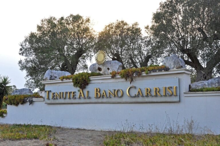 BORGO 1