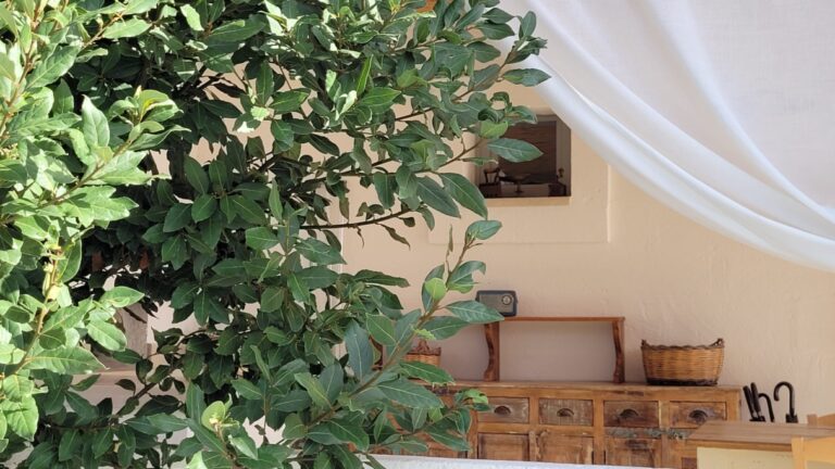 masseria-ferarelli-trepizzi-patio