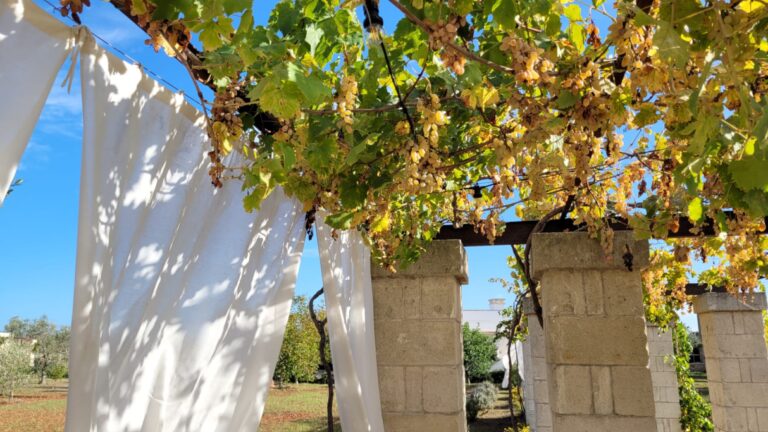 masseria-ferarelli-trepizzi-pergolato